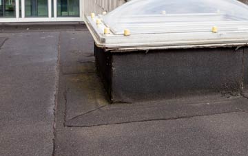 disadvantages of Combpyne flat roofs