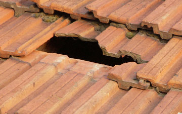roof repair Combpyne, Devon